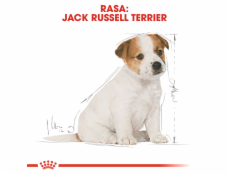 Royal Canin SHN Breed Jack Russell Junior - Suché krmivo pro psy Drůbež Rice - 3 kg