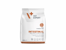 VET EXPERT Veterinary Diet Intestinal Cat - suché krmivo pro kočky - 250 g