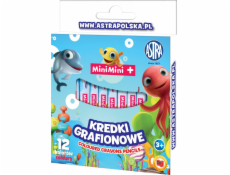 Mini mini pastelky z kaolinové hlíny 12 barev 316121011 ASTRA