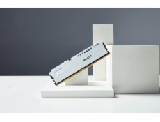 Kingston FURY Beast DDR5 32GB 6000MT/s DIMM CL30 XMP White