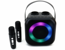 Soundmaster BT2024SW/ 5W/ BT/ Disco light/ USB-C/ 2x BT mikrofony