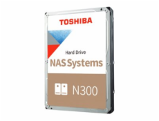 BULK N300 NAS Hard Drive 12TB 512MB
