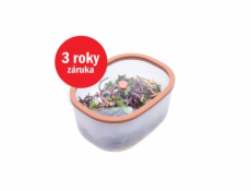 Status STA 177159 Status STA 177159