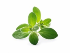 Véritable Lingot Majoránka - BIO