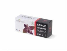 Véritable Lingot Fialová bazalka - BIO