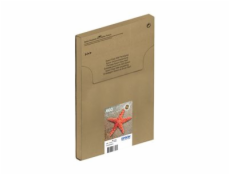 Epson 603 Multipack Easy Mail Packaging - 4-balení - černá, žlutá, azurová, purpurová - originální - blistr - inkoustová cartridge - pro Expression Home XP-2150, 2155, 3150, 3155, 4150, 4155; WorkForc