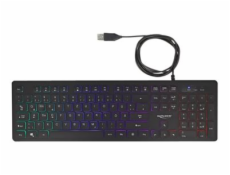 Delock - Klávesnice - podsvícení - USB - QWERTZ - německá - černá - maloobchod