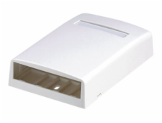 Panduit MINI-COM - Krabice k upevnění na povrch - arktická bílá - 4 porty
