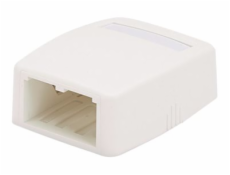 Panduit MINI-COM - Krabice k upevnění na povrch - arktická bílá - 2 porty