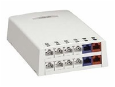 Panduit MINI-COM Multi-Media/Fiber Surface Mount Box - Krabice k upevnění na povrch - arktická bílá - 12 portů
