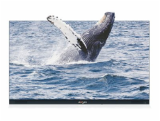 Absenicon C138 - 138  Třída úhlopříčky 3.0 Series displej LCD s LED podsvícením - konference - 1080p 1920 x 1080
