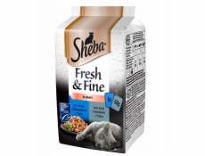 Sheba Fresh & Fine Mini Fish Dishes in Sauce 6 x 50g