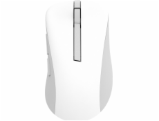 ASUS Wireless Mouse MD102/Kancelářská/Optická/Pro praváky/1 600 DPI/USB+BT/Bílá