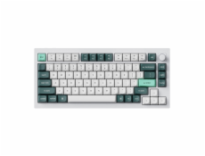 Bezdrátová klávesnice Keychron Q1 HE RGB Nebula Magnetic Switch (bílá) [Q1H-P1].