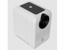 HP CC180W Set mit Leinwand