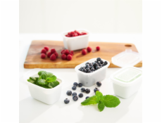 ROTHO Freeze - nádoba na zmrazování - 4x750ml