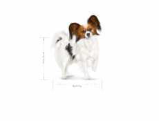 ROYAL CANIN Adult x- small SHN - suché krmivo pro psy - 0,5kg