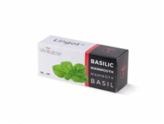 Véritable Lingot Bazalka mamutí