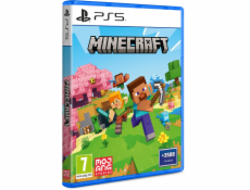 PS5 - Minecraft