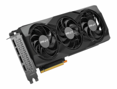PNY GeForce RTX 5070 OC NVIDIA 12 GB GDDR7
