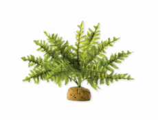Hagen HAG.ROSL.D/TERRAR.BOSTON GERN 22CM 2990 - 58780