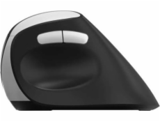 RAPOO Bezdrátová ergonomická myš EV250