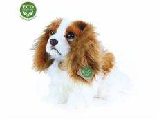 Rappa Plyšový pes king charles španěl 25 cm