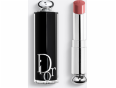 Dior ADDICT SHINE RTĚNKA 422 ROSE DES VENTS 3,2g