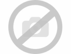 Victoria Sport Cast Figure – Fotbal 1