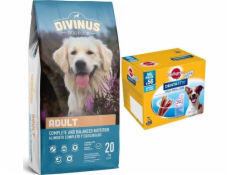 Divinus DIVINUS Dospělí dospělí psi 20kg+ rodokmen malých plemen