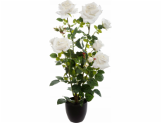 Atmosphera Umělá hrnková rostlina ROSE BUSH, 74 cm, bílá