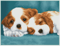 DIAMOND DOTZ Diamantové vyšívání Diamond Dotz Diamantová mozaika Little Champs Dvě štěňata 43x33cm DQK8014