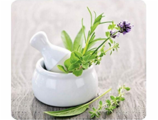Wenko HERB GARDEN skleněná ochranná deska na sporák – velká, WENKO