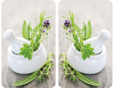 Skleněné ochranné desky na sporák Wenko HERB GARDEN – 2 kusy, WENKO