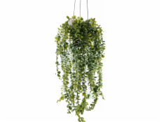 Umělá závěsná rostlina SENECIO, 60 cm