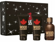 Alkotest SET DSQUARED Wood EDT sprej 100ml + SPRCHOVÝ GEL 100ml + AS BALZÁM 100ml