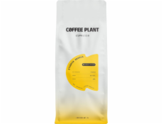 Kávovník Espresso Etiopie Oromia 1 kg