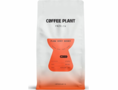 Kávovník FLOW Verry Berry 800 g kávových zrn