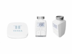 Tesla Smart Bundle Basic 2 (2x Valve + Hub)
