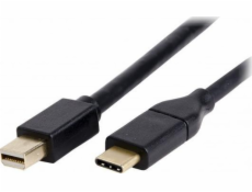 LMP Kabel USB-C na mini DisplayPort 1,8 m černý (LMP-USBC-M-DPC-B)