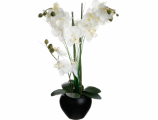 Atmosphera Orchidej v černém květináči 53 cm