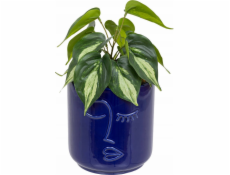 Atmosphera Umělá rostlina Epipremnum golden SOLEYA v keramickém květináči, 30 cm