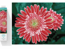 DIAMOND DOTZ Diamantová výšivka Diamond Dotz Diamantová mozaika Gerbera růžová 58x48cm DQ10001 DIAMOND DOTZ Diamantová výšivka Diamond Dotz Diamantová mozaika Gerbera růžová 58x48cm DQ10001