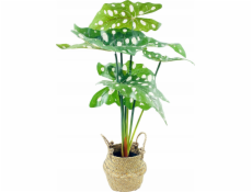 Eurofirany Alocasia, umělá květina v košíku