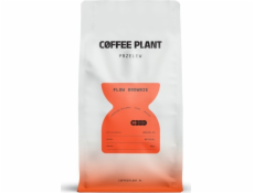 Coffee Plant Kávový FLOW Brownie 800g