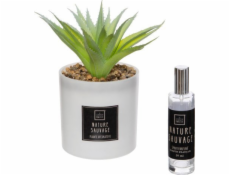 Atmosphera Umělá rostlina s vonným olejem NATURA SAUVAGE