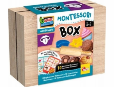 Lisciani LISCIANI MONTESSORI BOX CHUŤ