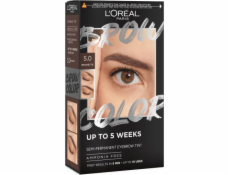 L’Oreal Paris L Oréal Paris L Oréal Brow Color sada na barvení obočí 5.0 Brunette