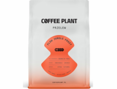 Coffee Plant Kávová rostlina FLOW Jungle Fruit 250g kávová zrna