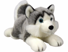 Dubi Maskot pes husky ležící plyšový 34cm měkký mazlivý pes